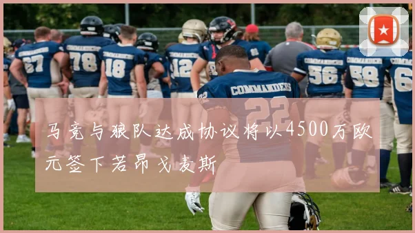 马竞与狼队达成协议将以4500万欧元签下若昂戈麦斯