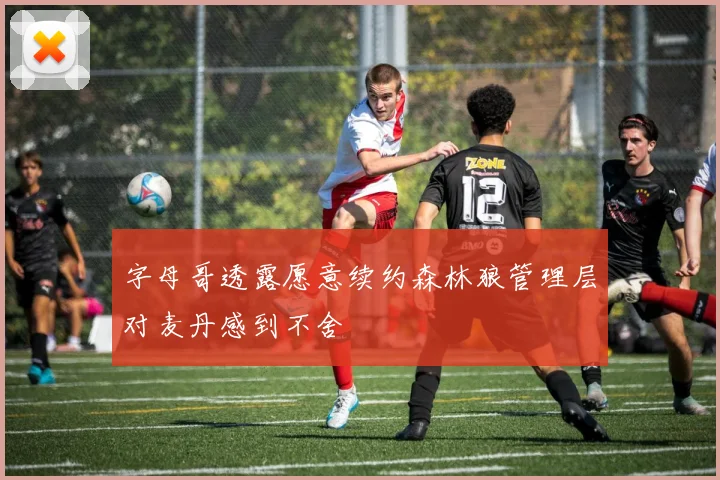 字母哥透露愿意续约森林狼管理层对麦丹感到不舍