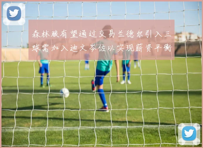 森林狼有望通过交易兰德尔引入三球需加入迪文岑佐以实现薪资平衡
