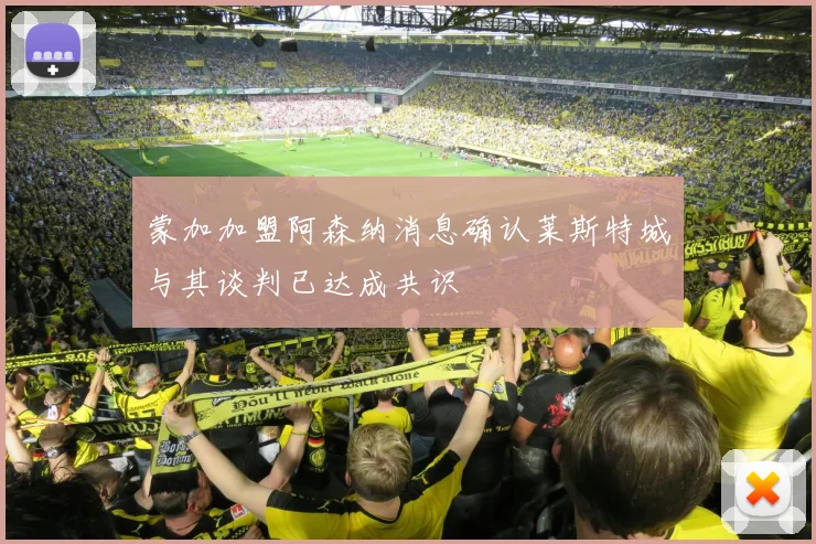 蒙加加盟阿森纳消息确认莱斯特城与其谈判已达成共识