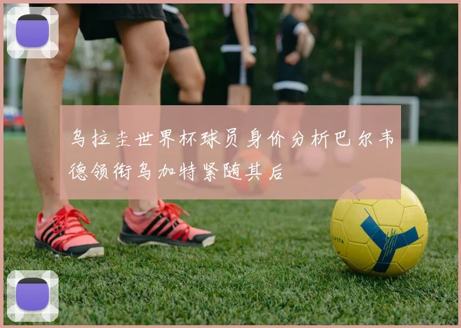 乌拉圭世界杯球员身价分析巴尔韦德领衔乌加特紧随其后